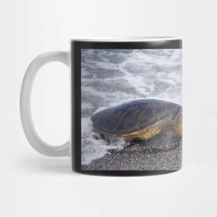 on dry land Mug